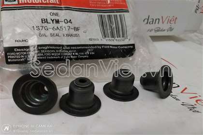 Phớt ghít 1S7G6A517BF