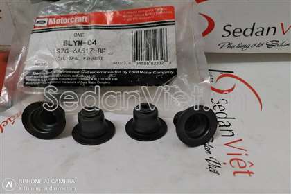 Phớt ghít 1S7G6A517BF