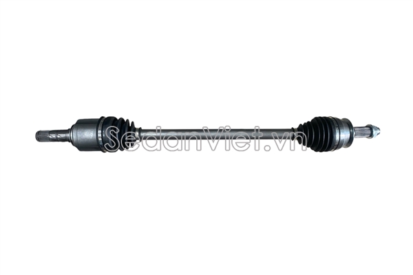 Cây láp trước 202987