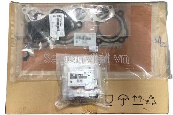 Bộ gioăng đại tu 2091003U07