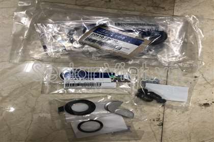 Bộ gioăng đại tu 2091023C31