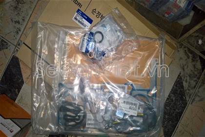 Bộ gioăng đại tu Hyundai Santafe Gold 2001-2005