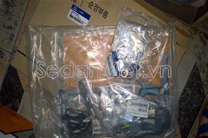 Bộ gioăng đại tu - 209102FA00