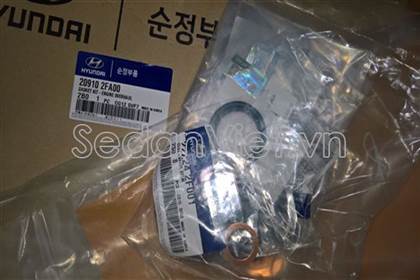 Bộ gioăng đại tu 209102FA00