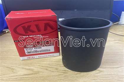 Xylanh piston