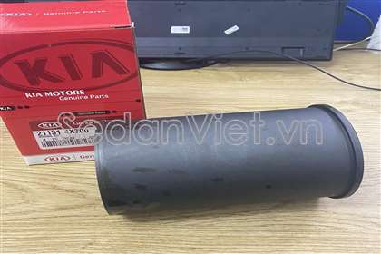 Xylanh piston 211314X300