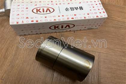 Xylanh piston
