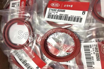 Phớt đuôi trục cơ Hyundai Getz 2006-2010