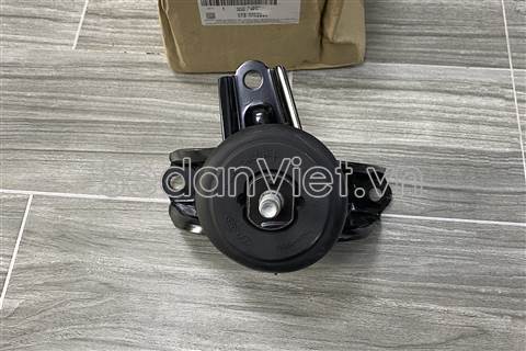 Cao su chân máy phải 218101R010