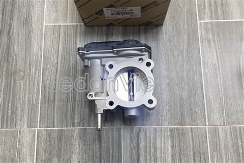 Cụm bướm ga 220300T120