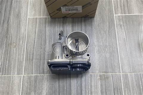 Cụm bướm ga 220300T120
