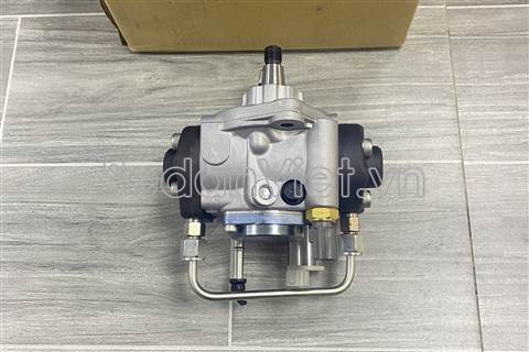 Bơm cao áp 221000L060
