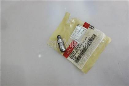 Con đội thủy lực