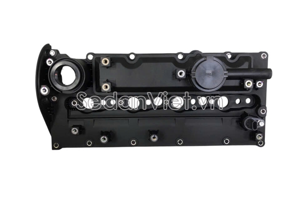 Nắp dàn cò 224102R100