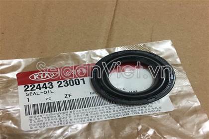 Phớt chặn dầu bugi 2244323001