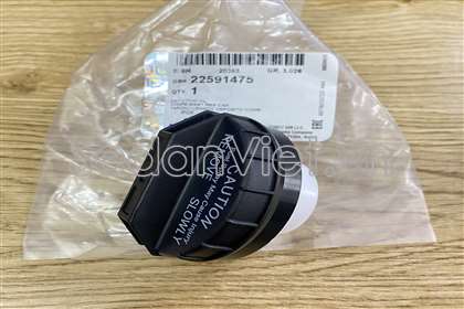Nắp bình xăng ngoài 22591475