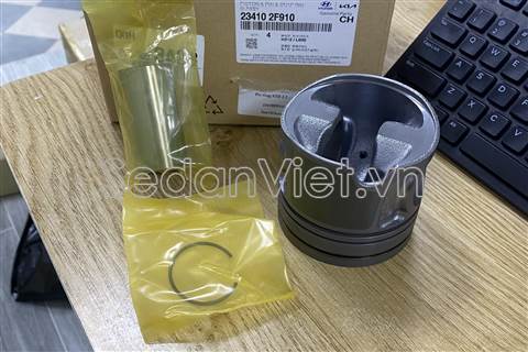 Piston STD 234102F910