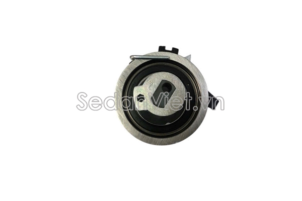 Bi tăng cam 243102R100
