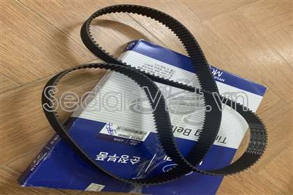 Dây cam - 2431239800