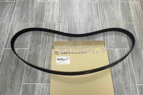 Dây cam - 243123E500