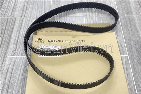 Dây cam 243123E500