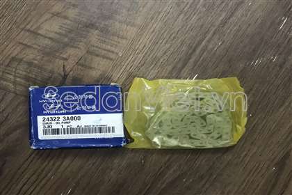 Xích đối đối trọng 243223A000