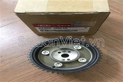 Bánh răng trục cam hút 243502B010
