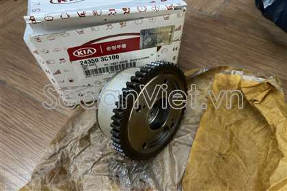 Bánh răng trục cam 243503C100