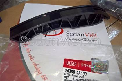 Dẫn hướng cam 243864A100