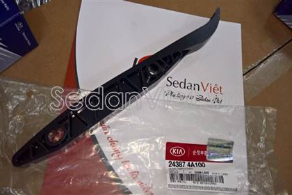 Dẫn hướng cam 243874A100