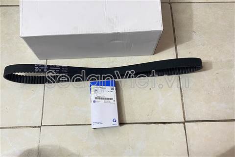 Dây cam 24422964