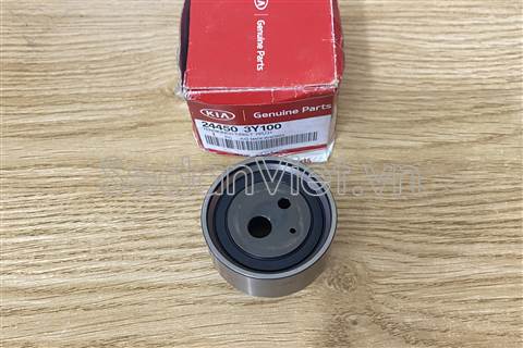 Bi tì dây đối trọng 244503Y100