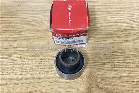 Bi tì dây đối trọng 244503Y100