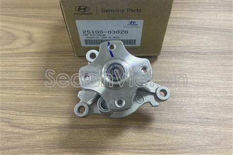 Bơm nước động cơ 2510003020
