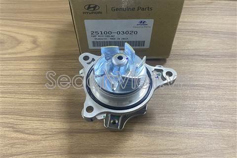 Bơm nước động cơ 2510003020