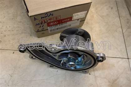 Bơm nước động cơ 2510004011