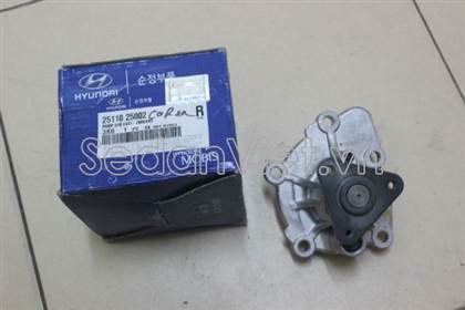 Bơm nước động cơ Kia Carens 2007-2012