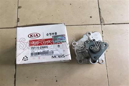 Bơm nước động cơ - 251102G000