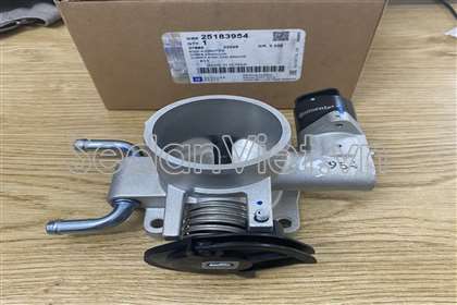 Cụm bướm ga Chevrolet Aveo 2009-2012