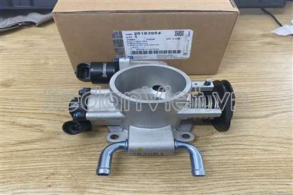 Cụm bướm ga 25183954