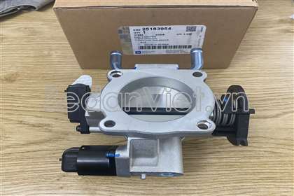 Cụm bướm ga 25183954
