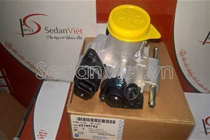 Cụm bướm ga 25185782