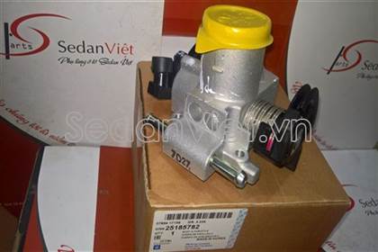 Cụm bướm ga 25185782