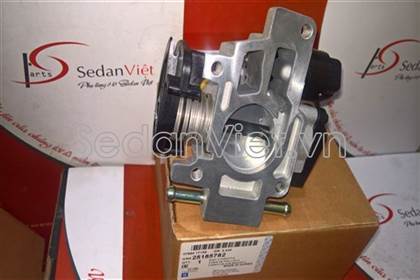 Cụm bướm ga 25185782