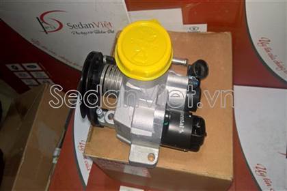 Cụm bướm ga 25185782
