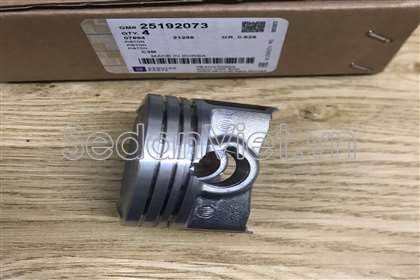 Piston STD 25192073