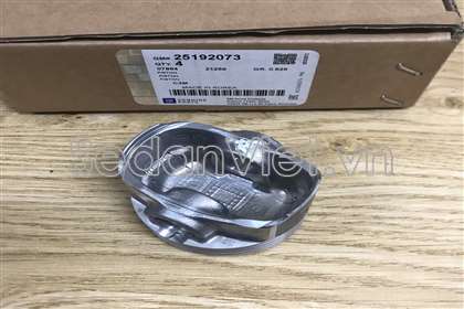Piston STD 25192073