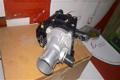 Cụm van hằng nhiệt 25199824
