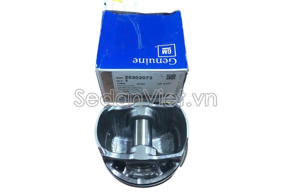 Piston 25202072