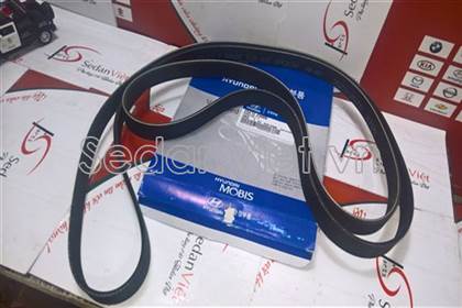 Dây curoa tổng 2521225000